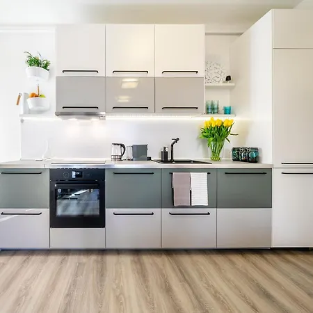 Apartment Dove Nest By Atelierfor